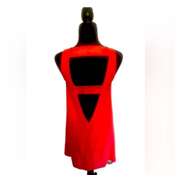 Zadig & Voltaire Deluxe pink Raff Minj Dress- Small - Picture 4 of 4